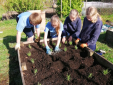 Gardening Club Encourage The Bees Gardening Club Encourage The Bees