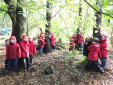 Form 1 Forest School Fun Form 1 Forest School Fun
