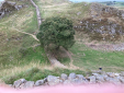 Form 6 Trip to Hadrians Wall Form 6 Trip to Hadrians Wall