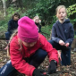 Lighting Campfires Lighting Campfires