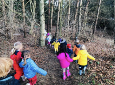 Forest Adventures For Pre-School Forest Adventures For Pre-School