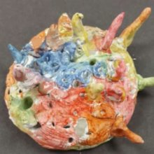 Form 1 Sea Urchins