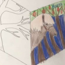 Form 2's Hopes & Dreams Form 2's Hopes & Dreams