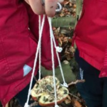 Form 4 Bird Feeders & Form 3 Houses for Elves!