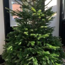 It's Beginning To Look A Lot Like Christmas! It's Beginning To Look A Lot Like Christmas!